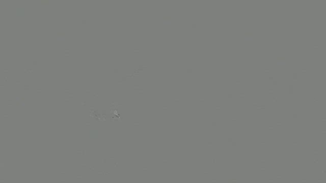 さっさとあきらめなかったから。の記事動画
