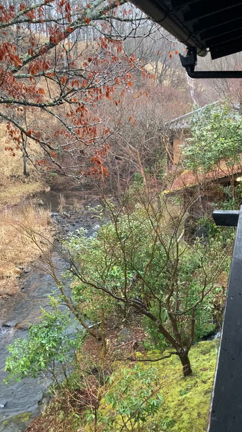 黒川温泉へ行ってきました。の記事動画