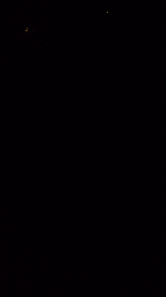 ホタルもいるニャンの記事動画