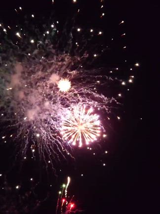 写真がない！！の記事動画