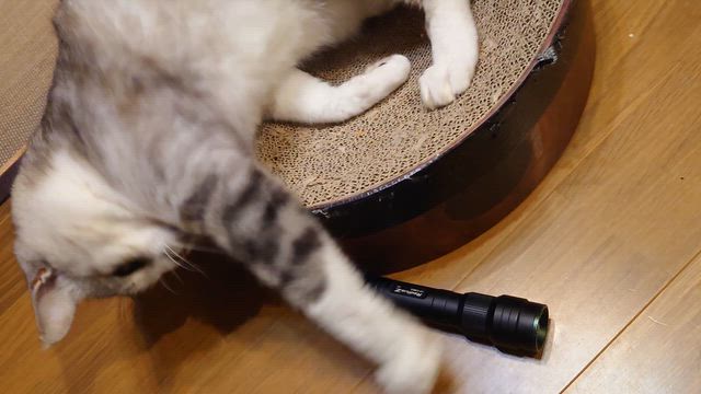 降ったりやんだりの記事動画