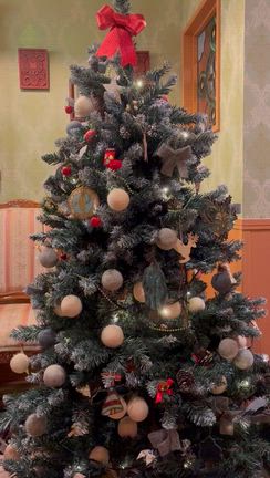 クリスマスの準備　ツリー出しました❣️の記事動画