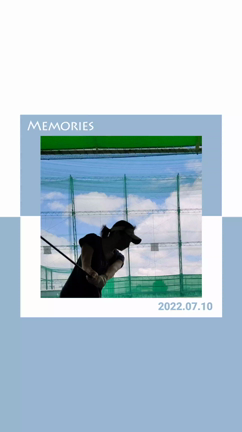 夫とゴルフ練習！の記事動画