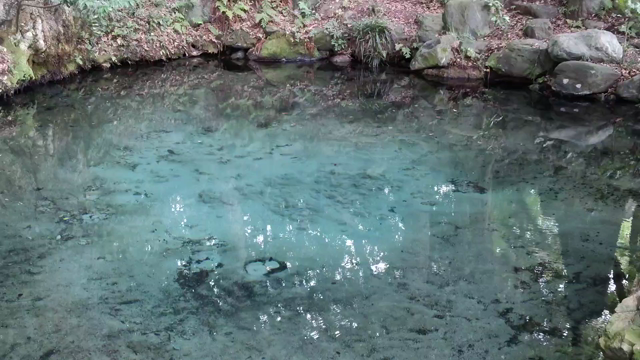 泉が湧き出る泉神社への記事動画