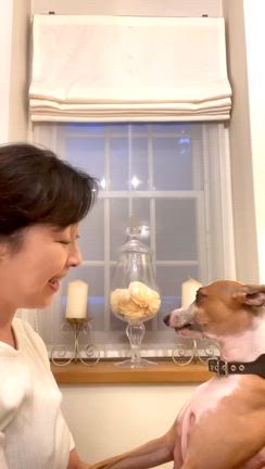 歌う犬の記事動画