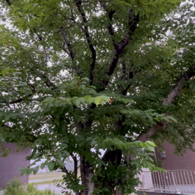 2021/06/18の画像