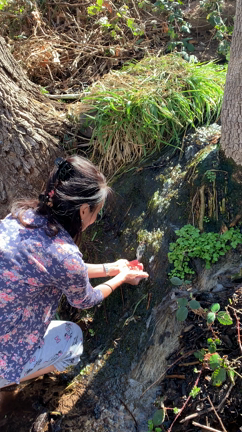 4/1マヤの暦kin158白い鏡の記事動画