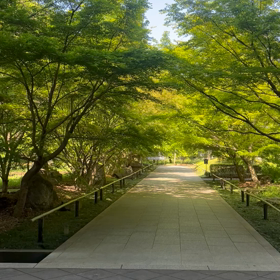 朝活の画像