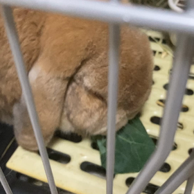 もぐもぐタイムの画像