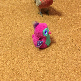 ウーモとゆきちゃんの画像