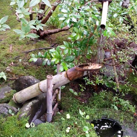 ☆最高なんだけど！！！☆の画像