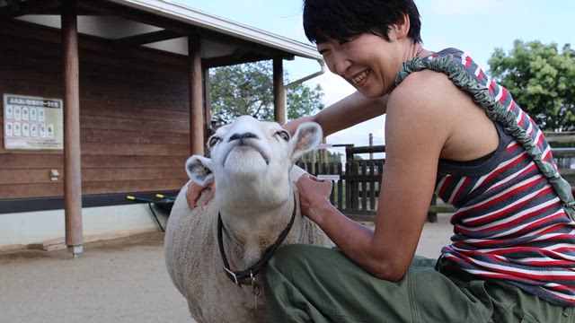 大原海水浴場でラン＆ボディボード→マザー牧場への記事動画