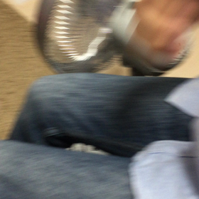 ねこ的なやつ？？の画像