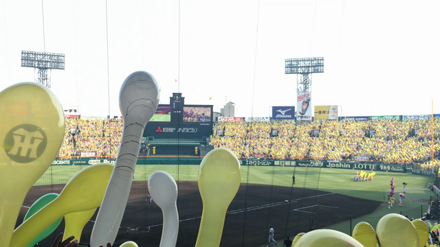 甲子園に行って来ました〜♪( ´▽｀)の記事動画