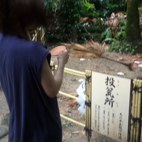 初めてMovieでものせてみよう。の画像