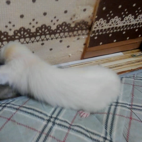 今日も･･･の画像
