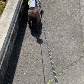 2023/04/17の画像