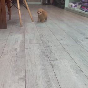 2024/09/29の画像