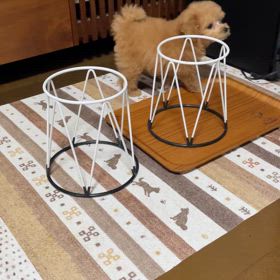 はなが来て２日目の画像