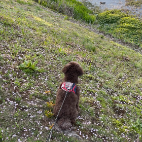 2023/03/29の画像