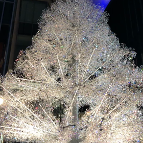 明日、クリスマスライブの画像