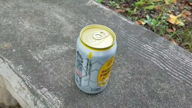 TOWN ～ひっそりこっそり大阪へ～の記事動画