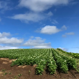 試しに動画つくってみたの画像