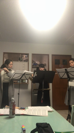 【音楽のある暮らしシリーズ】フルートって楽しいよ♫春の音楽会♫の記事動画