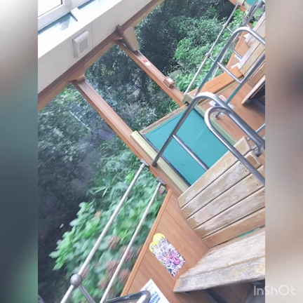 瀬織津姫の麒麟さんは白いんだって♡の記事動画