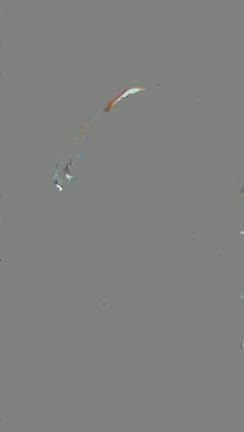 スピッツ　海ねこの記事動画