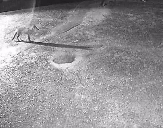 録画データの記事動画