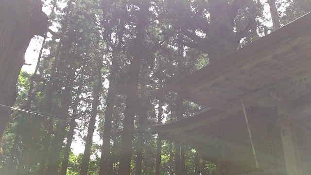 新緑の巌鬼山神社の記事動画