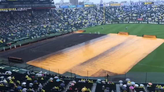 甲子園球場 阪神園芸の記事動画