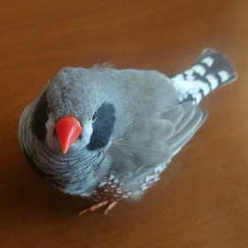 お手てだーいすきヾ(´∀｀*)ﾉの画像