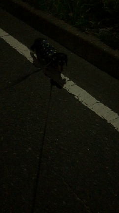 2022/07/31福岡県北九州市小倉朝の空模様の記事動画
