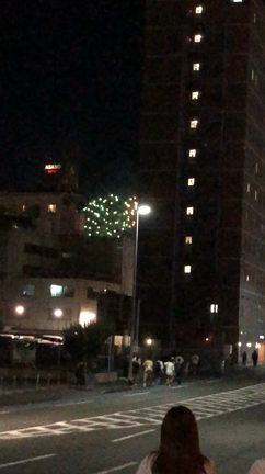 花火はやっぱり美しい〜2022/08/06の空模様✨の記事動画