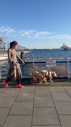 本の購入者特典動画！プライベート満載ですの記事動画