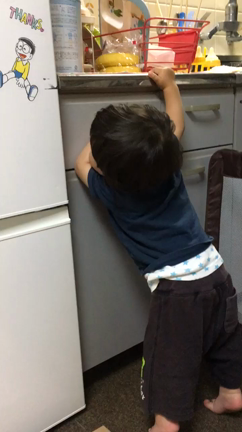 ふりまわされちゃう！の記事動画