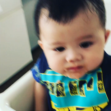 トマト食べさせてみたの記事動画