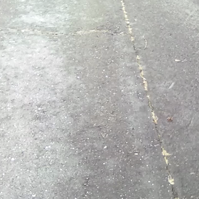 雪がの画像