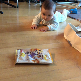 最近のベビ子の画像