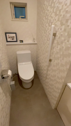 トイレの不便だったところ、ダイソーで解消〜！の記事動画