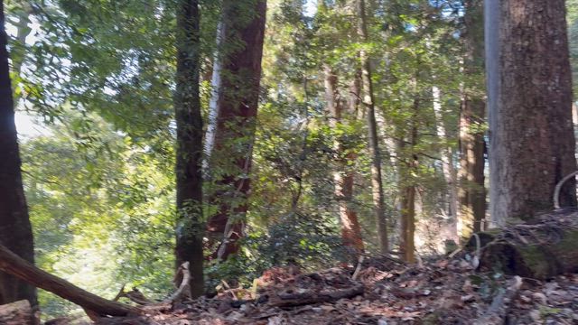 京都旅　鞍馬寺の記事動画