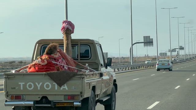オマーン〜ワヒバ砂漠の記事動画