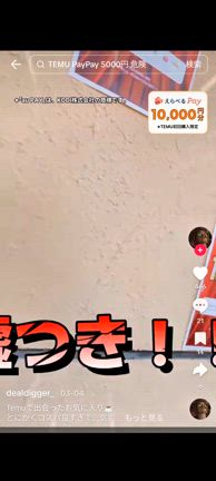 TEMU JAPANの記事動画