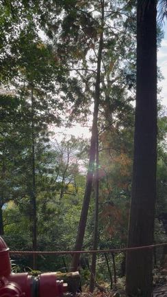 鞍馬寺＆くらま温泉リトリート無事終了❣️の記事動画
