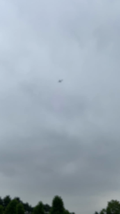 新宿御苑に行ってきた❣️（シリウスの木の前で…）の記事動画