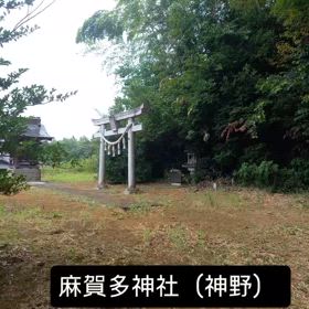 2025/08/02の画像
