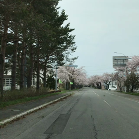 見  頃の画像
