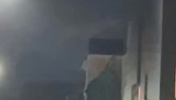 今日の夕餉の記事動画